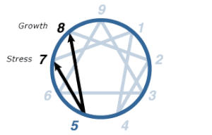 Enneagram Type 5